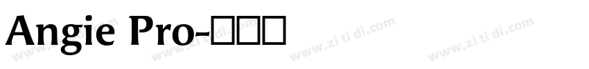 Angie Pro字体转换
